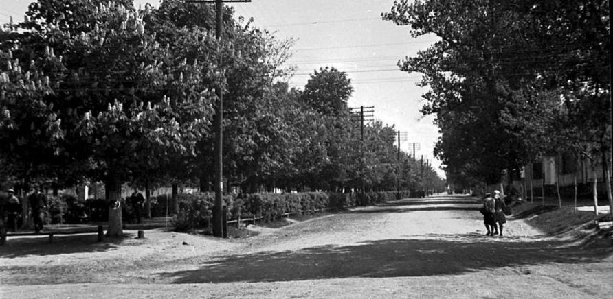 Фото 1 - Бульвар Шевченка в 1947 році