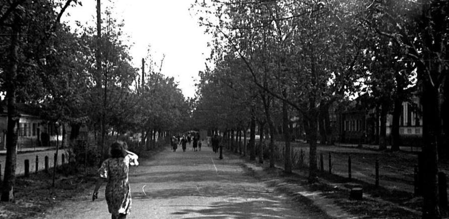 Фото 2 - Бульвар Шевченка в 1947 році