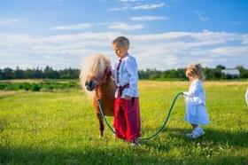 Фото 2 - Фотосессии с нашими пони и лошадьми