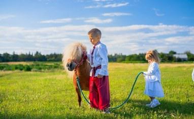 Кентаврик - Фотосесії з нашими поні та кіньми - фото 2
