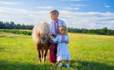 Кентаврик - Фотосесії з нашими поні та кіньми - фото 4