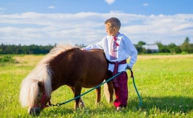 Кентаврик - Фотосессии с нашими пони и лошадьми - фото 5