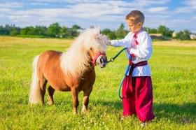 Фото 6 - Фотосессии с нашими пони и лошадьми