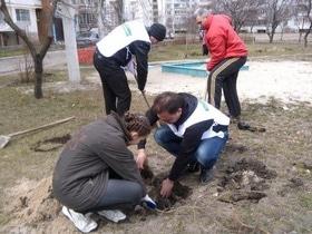 Фото 1 - Высадка деревьев в рамках всеукраинского социально-экологического проекта “Сделаем Украину Чистой”