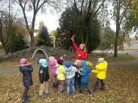 Фото 1 - Наши будни