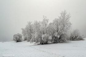 Фото 2 - Снежная зима в Черкассах