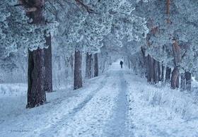 Фото 3 - Снежная зима в Черкассах