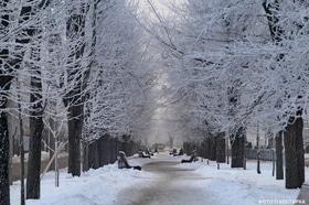 Фото 6 - Снежная зима в Черкассах