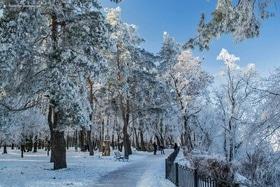 Фото 7 - Снежная зима в Черкассах