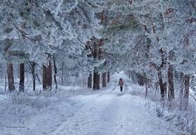 Фото 9 - Снежная зима в Черкассах