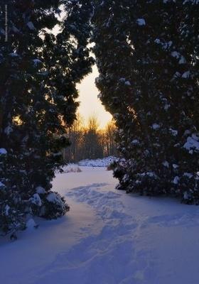Фото 13 - Снежная зима в Черкассах
