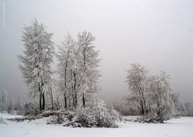 Фото 14 - Снежная зима в Черкассах