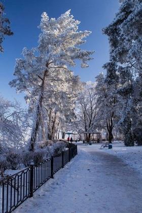 Фото 16 - Снежная зима в Черкассах