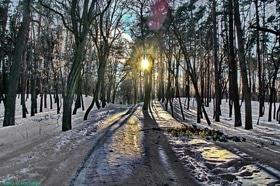 Фото 17 - Снежная зима в Черкассах