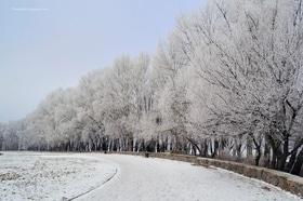 Фото 19 - Снежная зима в Черкассах