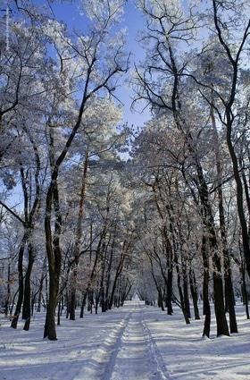 Фото 25 - Снежная зима в Черкассах