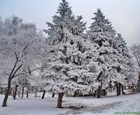 Фото 28 - Снежная зима в Черкассах