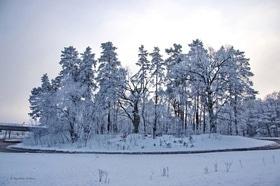 Фото 29 - Снежная зима в Черкассах