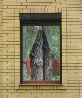 Фото 23 - Металлопластиковые окна для коттеджей