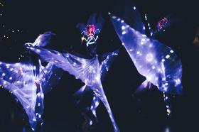 Фото 48 - Новий рік 2018