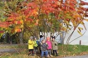 Фото 23 - Наши будни