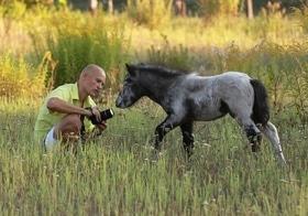 Фото 15 - Наши пони и лошади