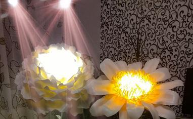 OROVI - Квіти-Гіганти і квіти-світильники на свято - фото 2
