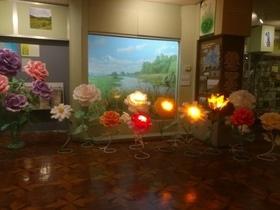 Фото 3 - Квіти-Гіганти і квіти-світильники на свято