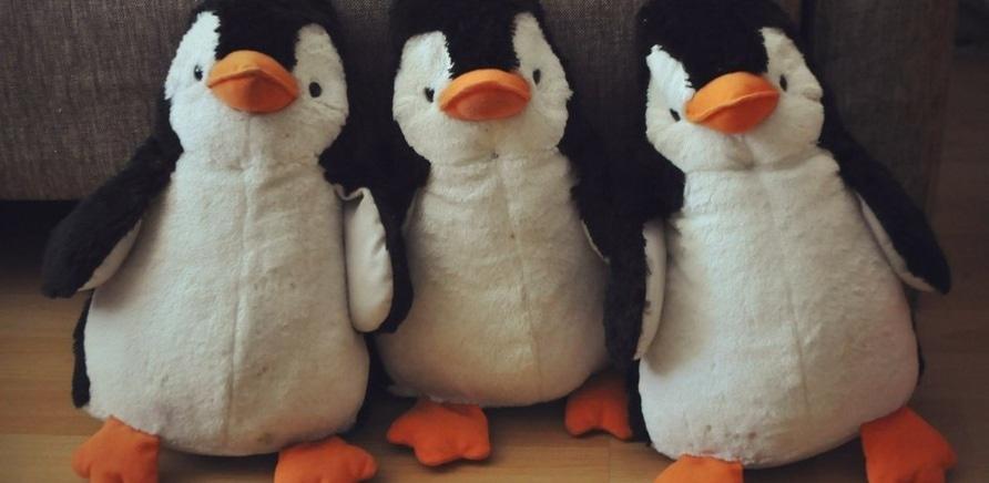 Фото 1 - Коллекция насчитывает более полторы сотни "пингвинов" различных форм и видов