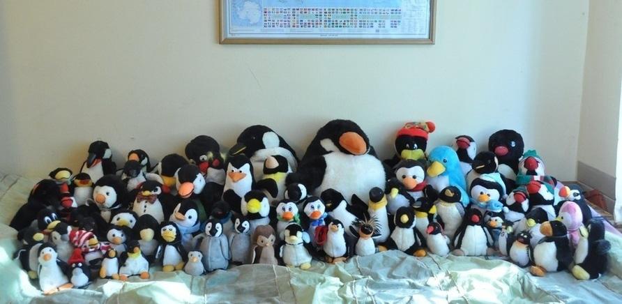 Фото 2 - Колекція нараховує більше півтори сотні "пінгвінів" різних форм і видів