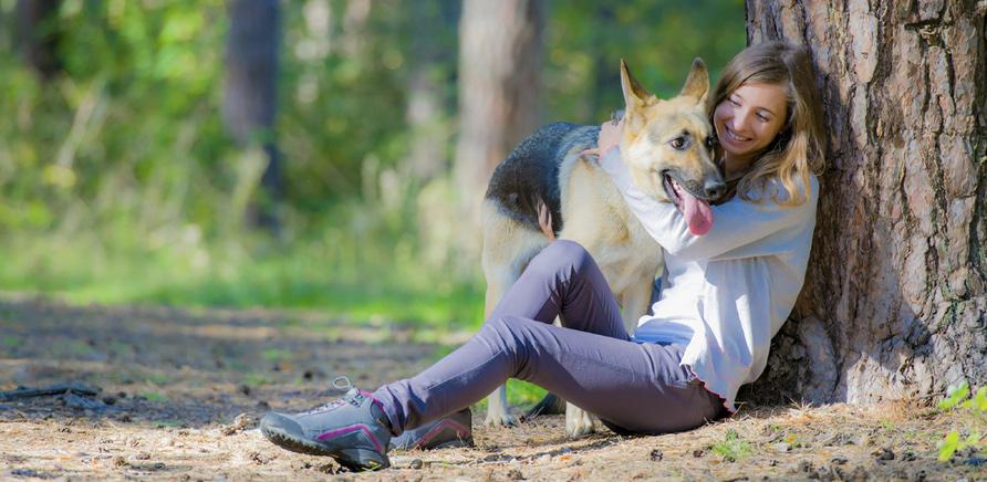 Думка ветеринара: як захистити собаку від бліх та кліщів навесні?