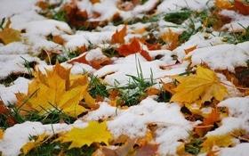 Статья 'Только спокойно: вскоре в Черкассах выпадет мокрый снег'