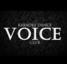 Логотип VOICE Логотип VOICE, караоке-клуб