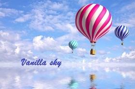 Туристическое агенство Vanilla sky, Туристическое агенство