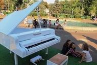 Фильм'Вечер инструментальной музыки ' - фото 1