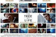 Фільм'Ніч-Кіно в Черкасах' - кадр 1