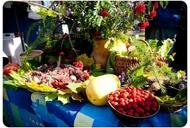 Фільм'9-й Екологічний фестиваль "Будянський ярмарок. Відродження"' - фото 2