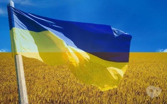 Концерт - Поэтический вернисаж дубль 2