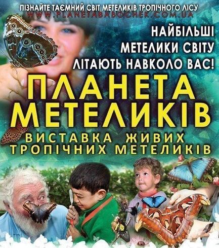 Выставка - Развлекательно-познавательная выставка 'Планета бабочек'