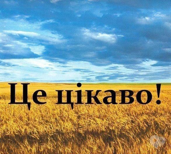 Навчання - Історичний лекторій на тему 'Україна: найдавніші часи'