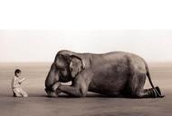 Фото 'Проект "Планетарне кіно". Перегляд фільму "Попіл і сніг"' - кадр 4 Фільм'Проект "Планетарне кіно". Перегляд фільму "Попіл і сніг"' - кадр 4