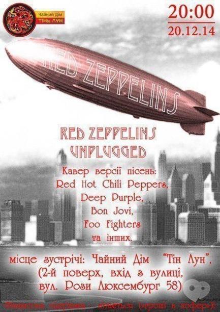 Концерт - Концерт кавер-группы Red Zeppelins