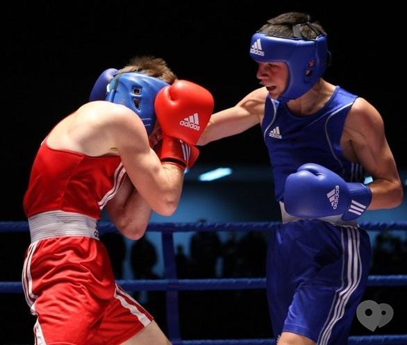 Спорт, отдых - Чемпионат области по боксу среди мужчин и молодежи
