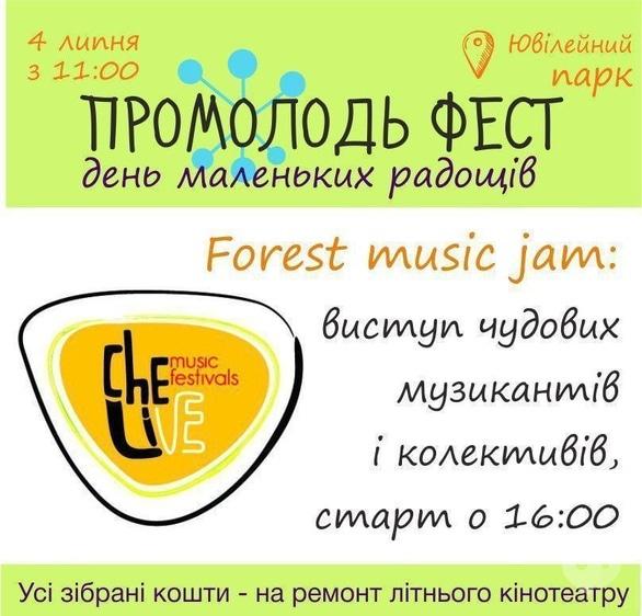 Концерт - Forest music jam