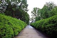 Фильм'Тур "Поющие фонтаны" от "НАМИ"' - фото 2