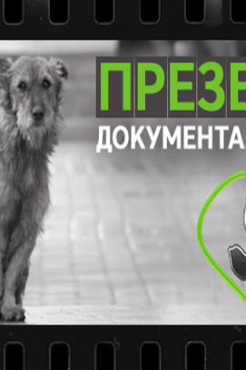 Фильм - Презентация документального фильма общества защиты животных 'Друг'