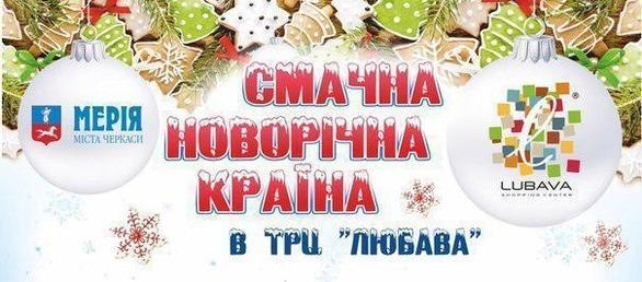 Концерт - Городской благотворительный проект 'Вкусная Новогодняя страна' в ТРЦ 'Любава'
