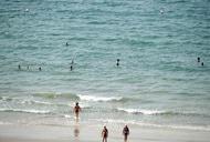 Фільм'Тур " ОАЕ, Рас Аль Хайма Bin Majid Beach Hotel 4*" від "All Inclusive"' - фото 3