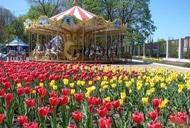 Фото 'Тур "Тюльпанная сказка (Кировоградский дендропарк)" от "Мандрівник"' - фото 2 Фильм'Тур "Тюльпанная сказка (Кировоградский дендропарк)" от "Мандрівник"' - фото 2