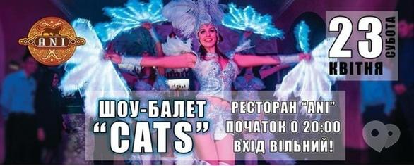 Вечірка - Шоу-балет 'CATS' в 'Ani'